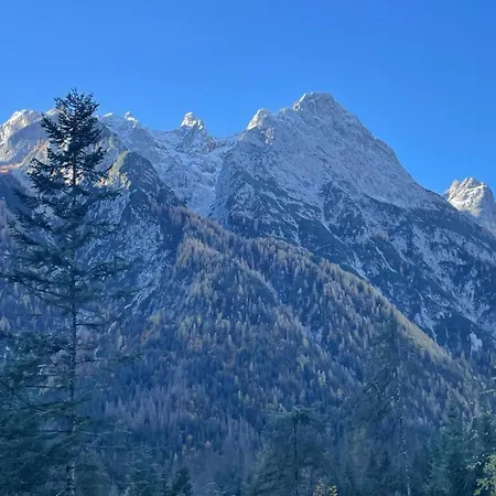 Al Mughetto Auronzo di Cadore