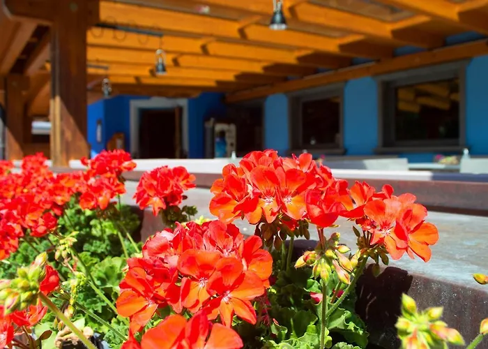 Al Mughetto أورونزو دي كادوري